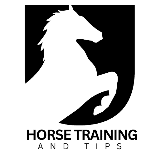 Horse Training and Tips