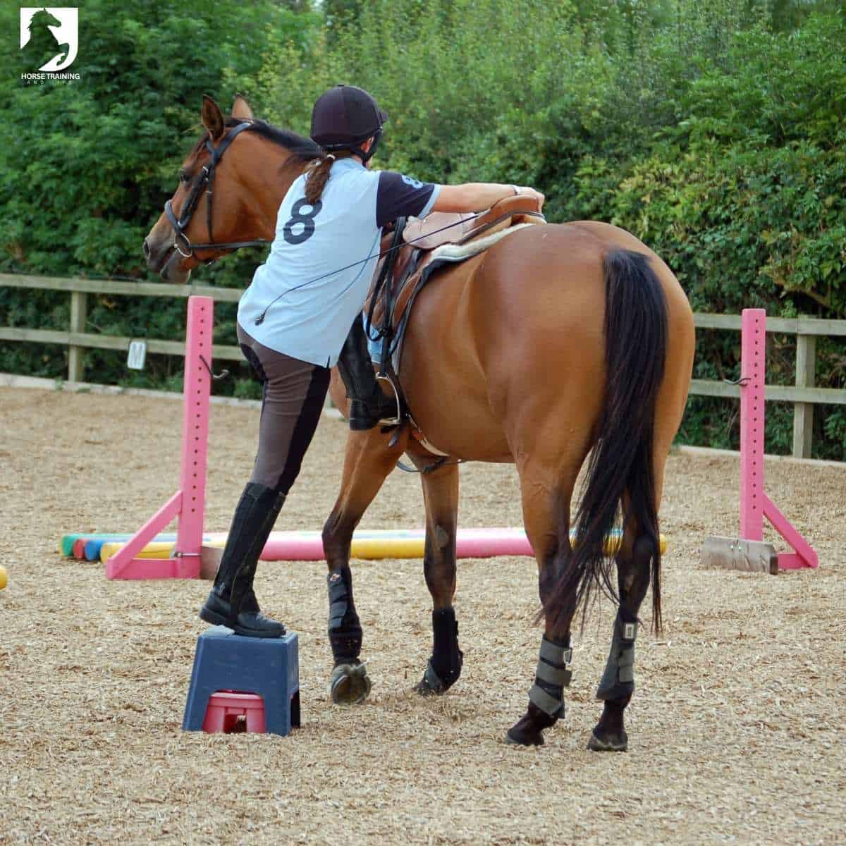 fixing horse mounting problems